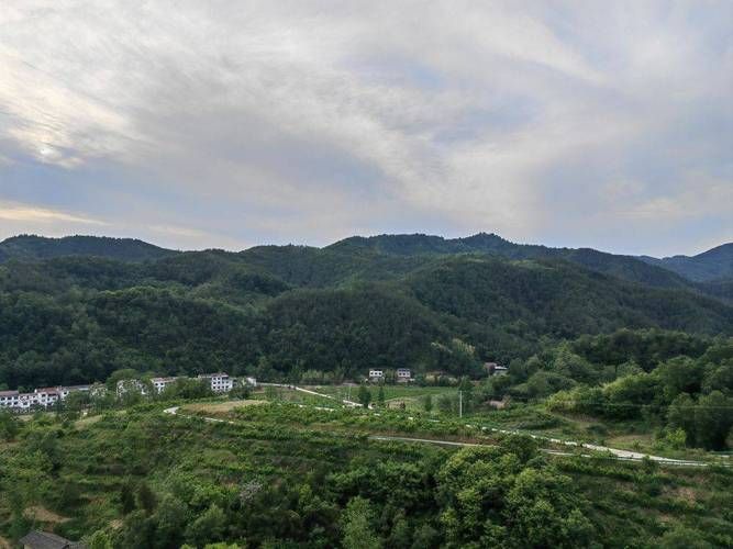 镇坪：秦巴山区的零感染孤岛如何筑成？